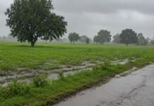 पुणे जिल्ह्यात पावसाचा जोर कायम; धरण क्षेत्रात दमदार बरसात, जलसाठ्यात वाढ..!