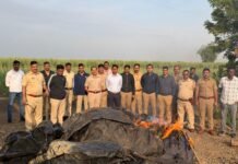 बारामतीत अवैध गावठी दारू निर्मितीवर धडक कारवाई; ७ आरोपी अटकेत, एक फरार