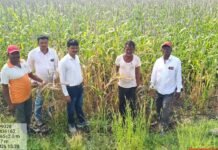 दुष्काळी परिस्थितीच्या पार्श्वभूमीवर पिकांच्या नुकसानीचे पंचनामे सुरु